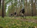 J-CooP und Freunde fahren nach Brandenburg