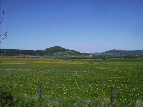 Milseburg?