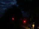D�mmerung