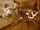 L`Eroica 2006 (525 views)