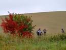Schwedt - Angerm�nde
Herbststimmung