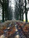 Tour mit den Franken-Amazonen
