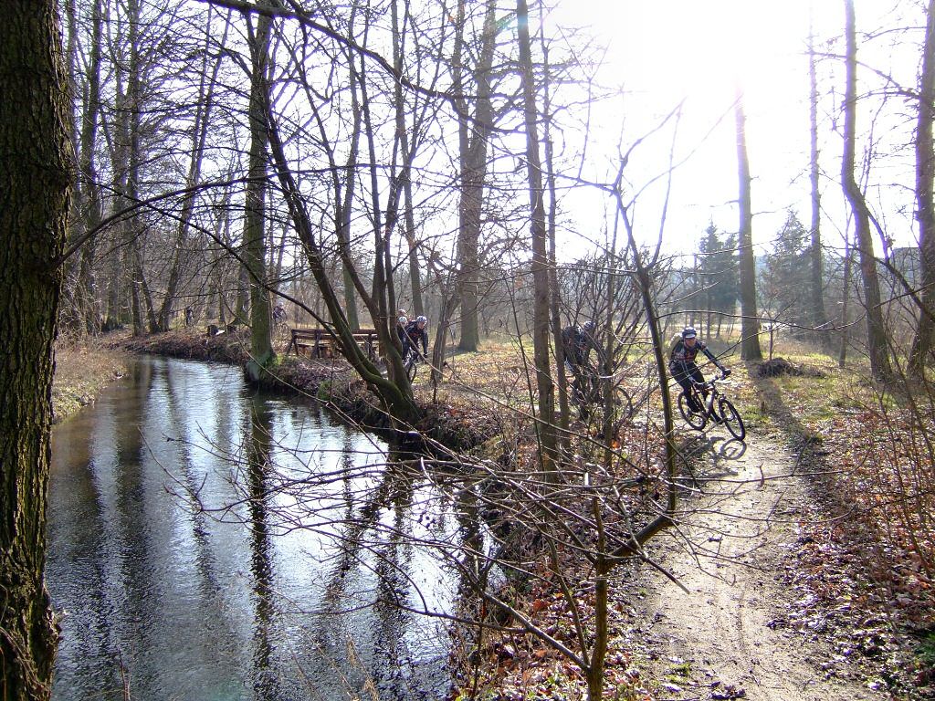 Slalomkurs