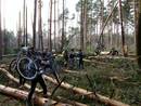 Fl�ming nach Kyrill