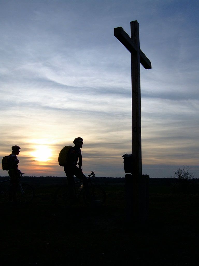 Eule im Abendlicht