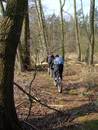 Fr�hling im sandigen S�den