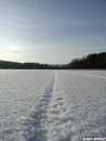 Reifen im Schnee