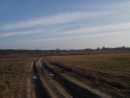nochmal ein herrlicher blick �bers feld zwischen z�hlsdorf und basdorf