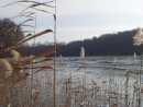 Blick �bern eisigen liepnitzsee
