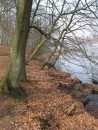 Liebnitzsee