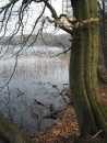 nochmal Liebnitzsee