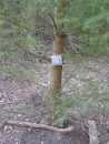 Was ist das?