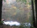 IMG_0806.jpg
