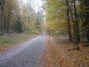 IMG_0834.jpg